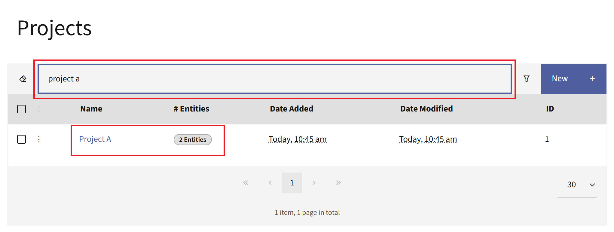 Projects list with a Project name typed in the search bar and the entities label highlighted